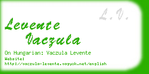 levente vaczula business card